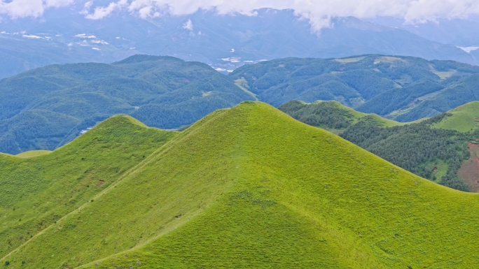 曲靖大海草山瑞士一样的景色