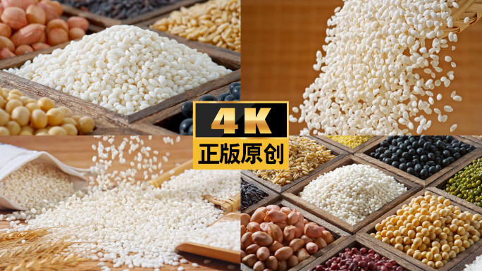 糯米稻谷水稻粮食五谷江米糯稻米粒稻米食材