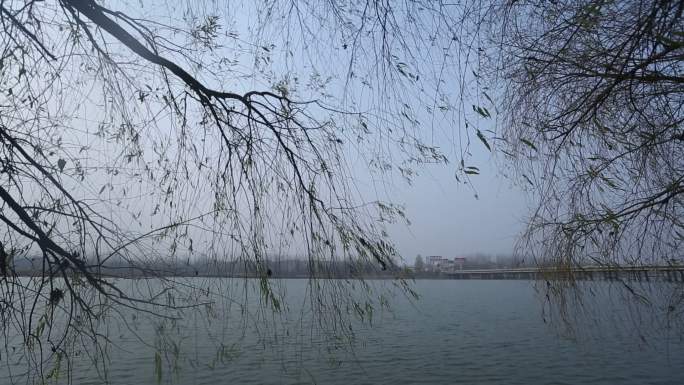 湖水  河水 湿地  水面