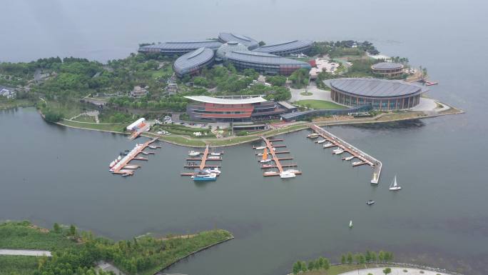 上海滴水湖南岛洲际酒店