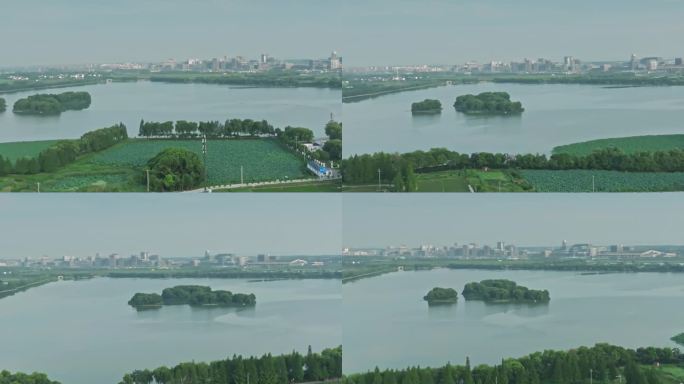 上海青浦青西郊野公园大莲湖