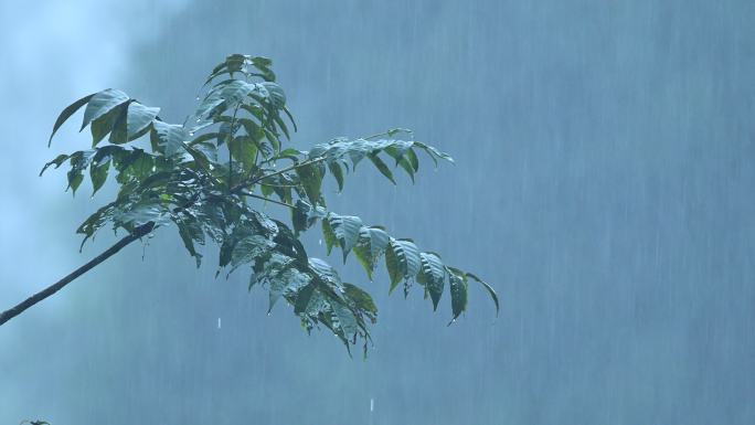 雨景