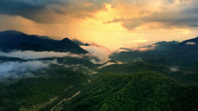 秦岭山水森林树林