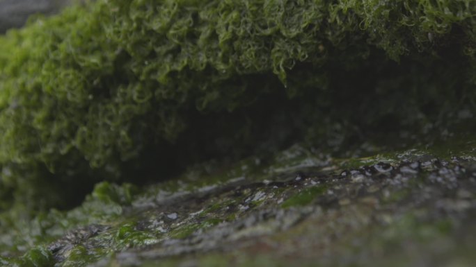 C湖南花恒县山石落水高清实拍