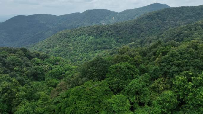 热带森林大山航拍4K素材