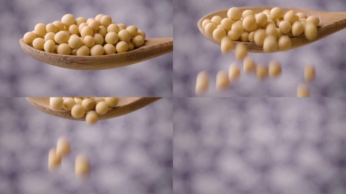 黄豆大豆从勺子里掉落