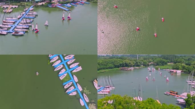 上海青浦淀山湖帆船运动水上运动