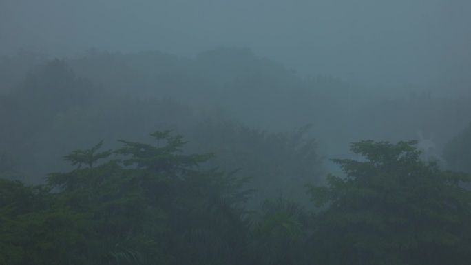 下雨天朦胧感雨雾氛围感森林下雨4K