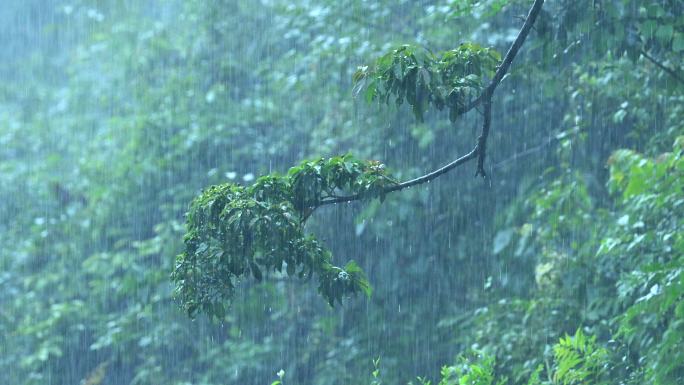 山中雨景