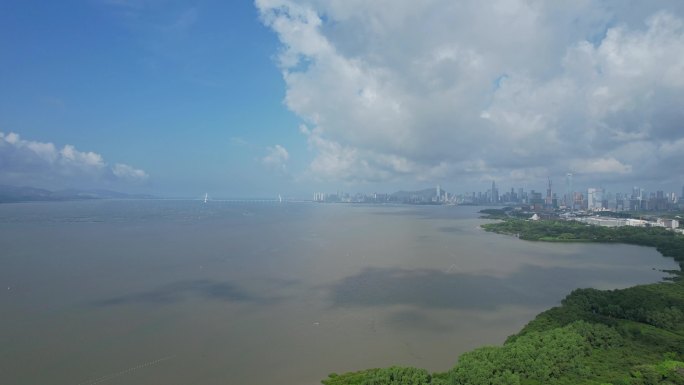 深圳湾航拍
