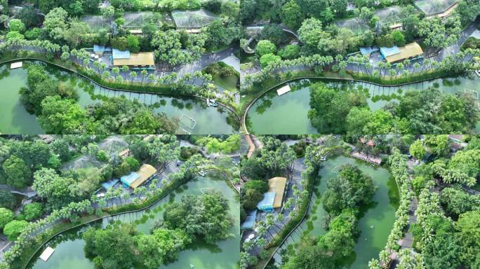 广州动物园上空航拍