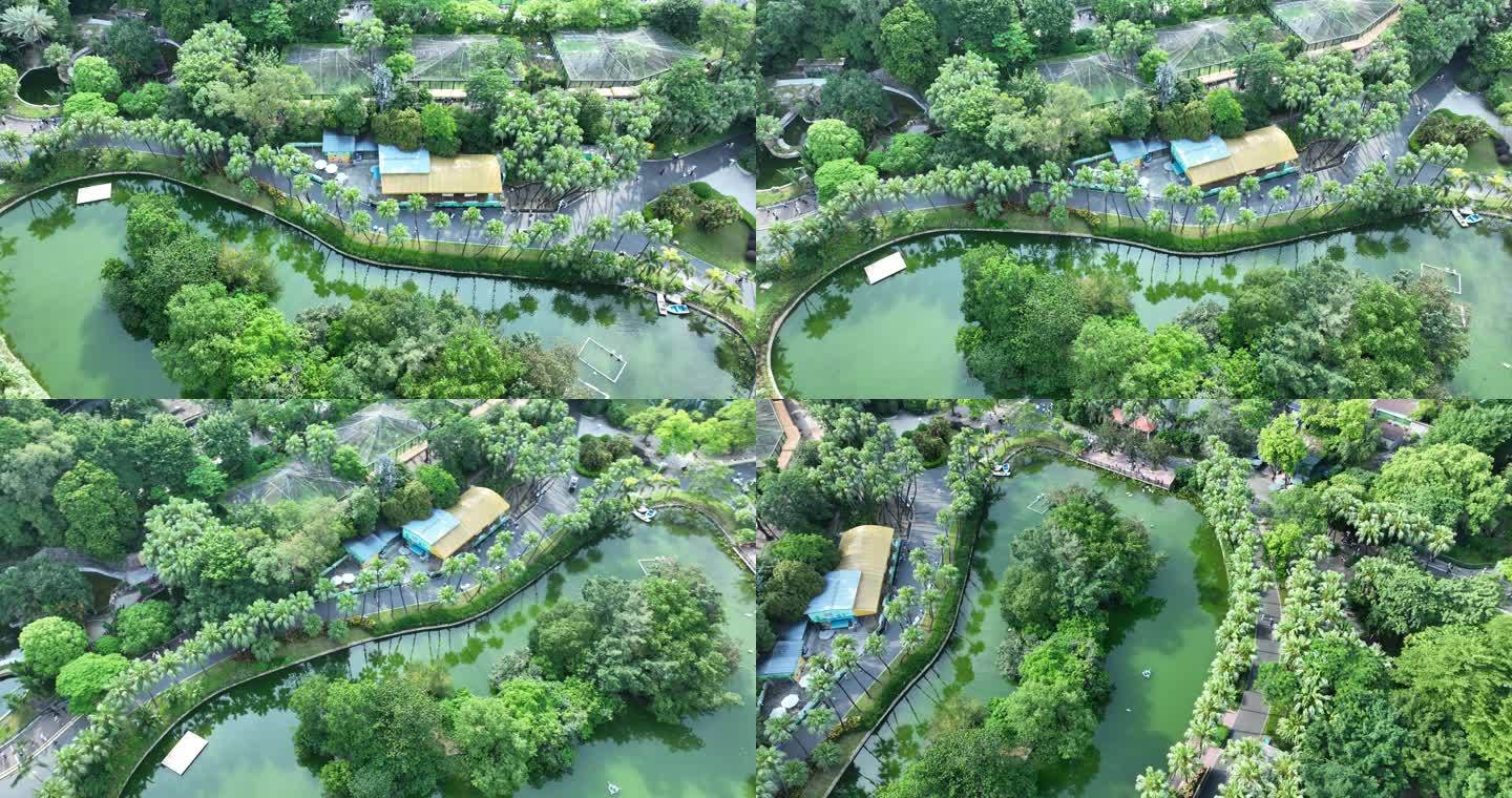 广州动物园上空航拍