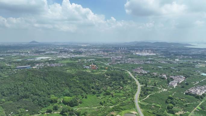 生态 田园 美丽乡村 茶 风景