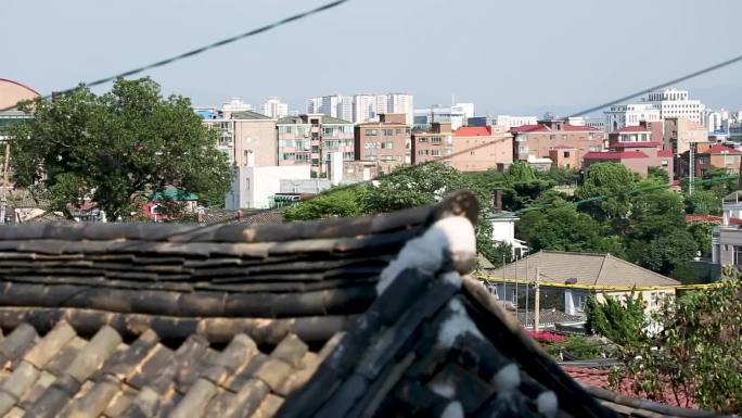 房屋建筑 商业楼 车辆行驶