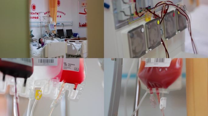 4K红十字会移植病房抽血造血干细胞捐献5