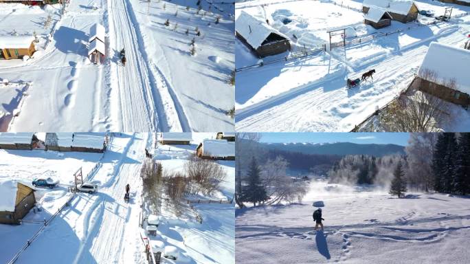 新疆禾木雪地马车和人合集