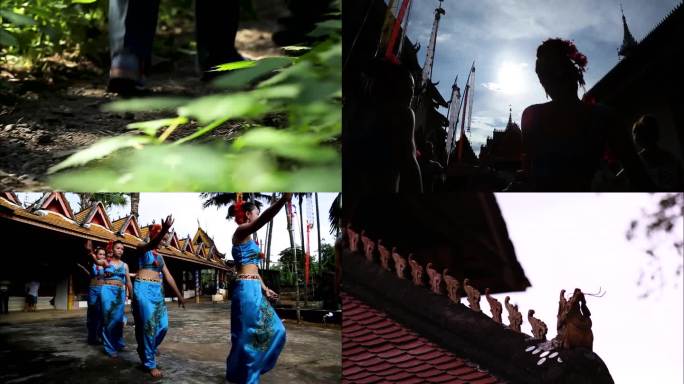 傣族舞 民族文化 特色表演