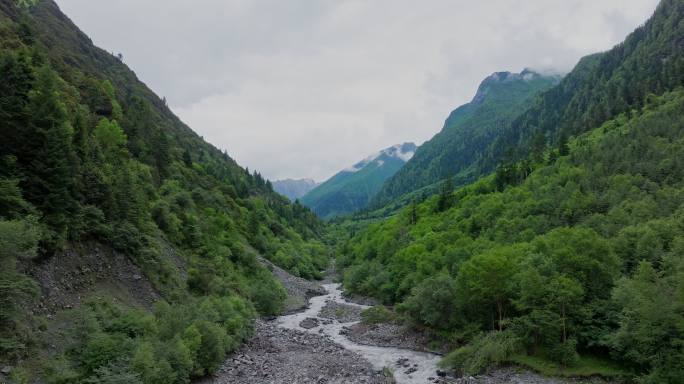 川西四姑娘山山谷雪山云雾壮观自然风光航拍