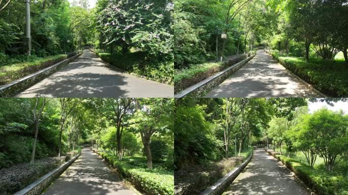 生态 田园 美丽乡村 风景 小路 公园