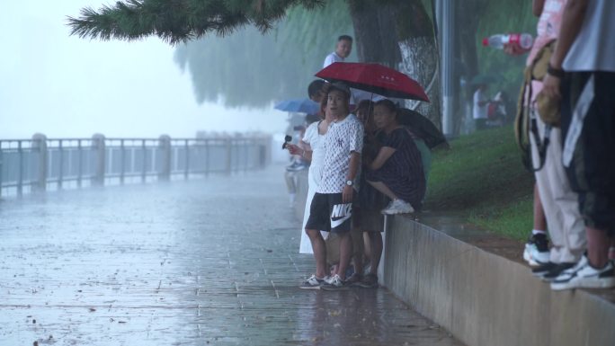 暴雨天游客躲雨