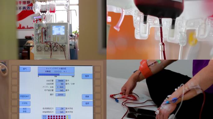 4K红十字会移植病房抽血造血干细胞捐献合
