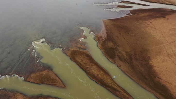 鄱阳湖湖底的大地之树