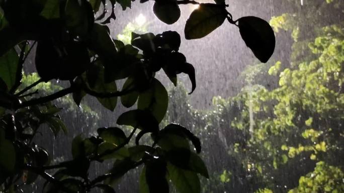 雨水特写水花四溅雨水滴落特写拍摄下雨地面