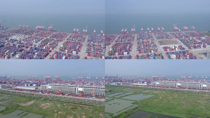 2023广州港南沙港码头集装箱合集