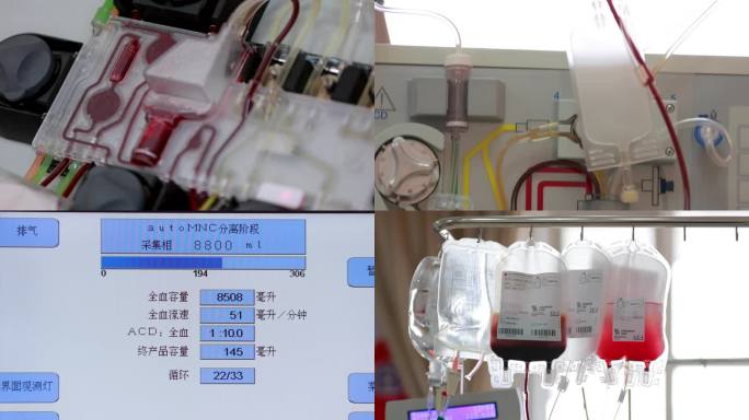 4K红十字会移植病房抽血造血干细胞捐献3