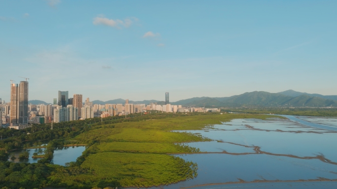 原创深圳湾红树林城市天际线日落光影航拍