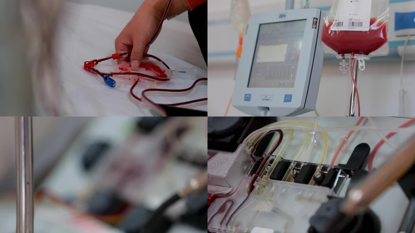 4K红十字会移植病房抽血造血干细胞捐献2