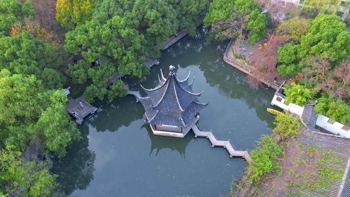 4K航拍西园寺冬日傍晚鸽子