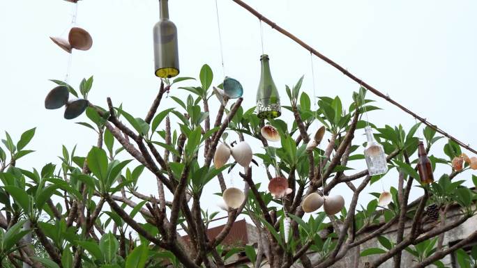 【相机实拍】玻璃风铃瓶 院子布置