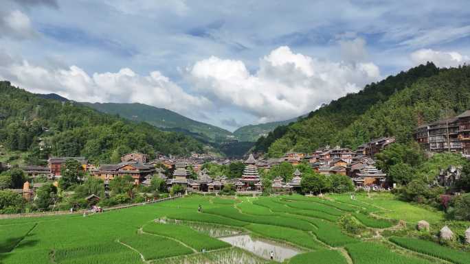 贵州肇兴侗寨寨门前的绿色稻田