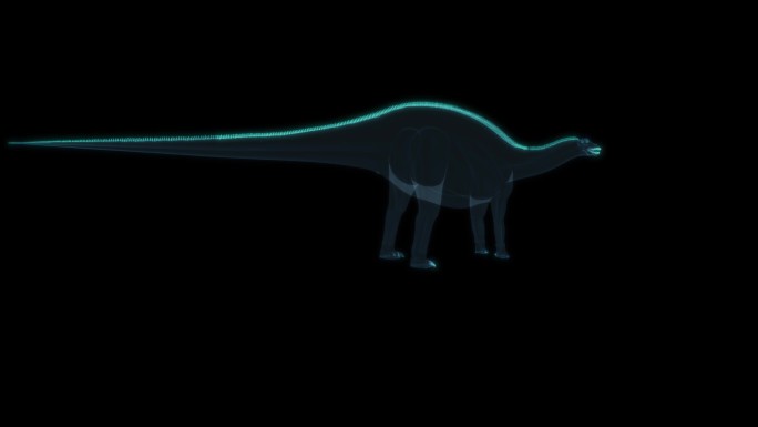 恐龙 Dicraeosaurus 叉龙属