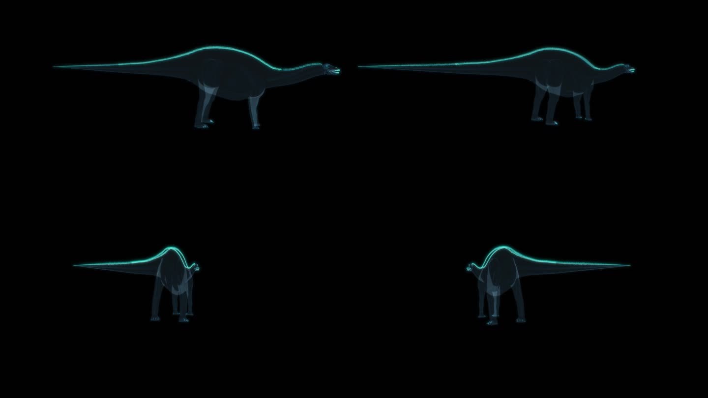 恐龙 Dicraeosaurus 叉龙属