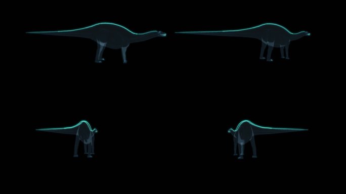 恐龙 Dicraeosaurus 叉龙属