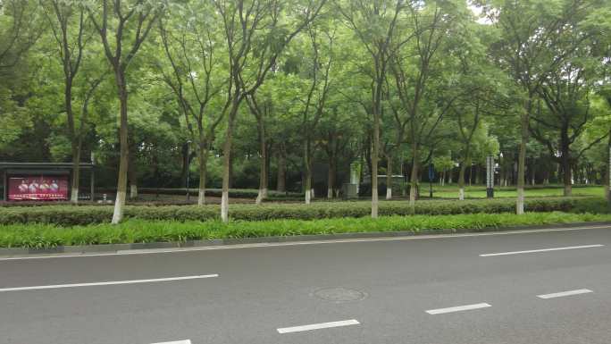 城市大道绿树成荫实拍交通
