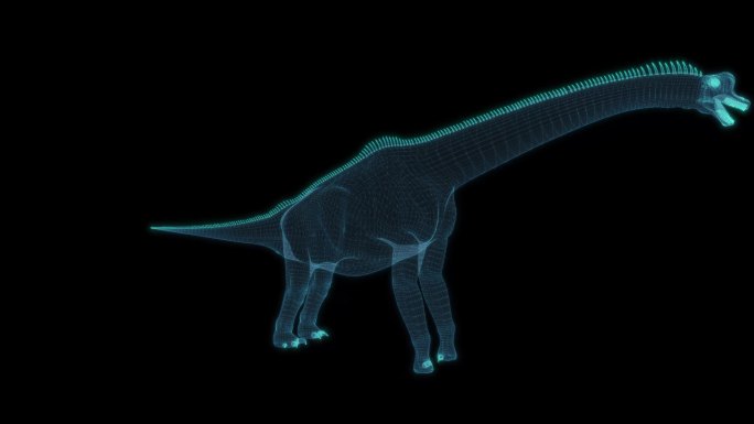 恐龙 Brachiosaurus 腕龙