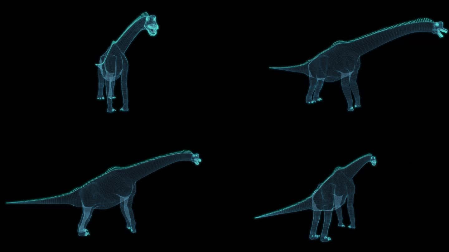 恐龙 Brachiosaurus 腕龙