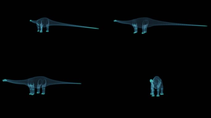 恐龙 Apatosaurus 迷惑龙雷龙