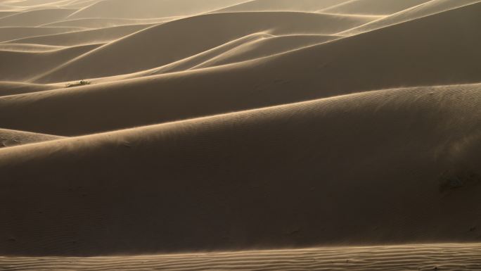 大风 沙漠 防沙治沙 环境治理抗旱 刮风