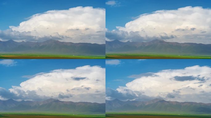 4k青海门源油菜花白云延时摄影