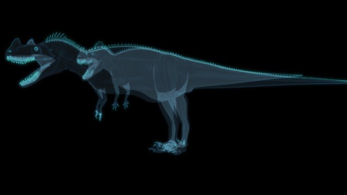 恐龙 Ceratosaurus 角鼻龙