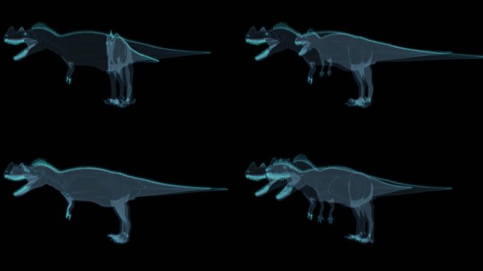 恐龙 Ceratosaurus 角鼻龙