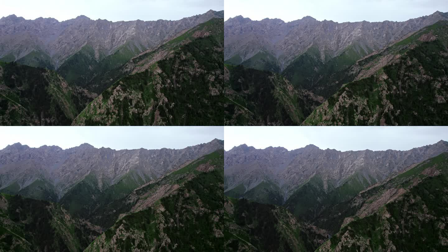 新疆  独库公路  天山