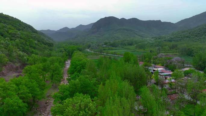 4k雨后大山