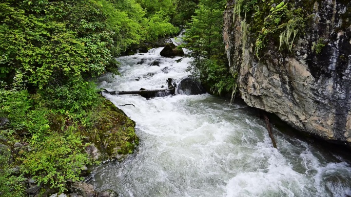 高山流水原始森林溪流河水原生态风景素材
