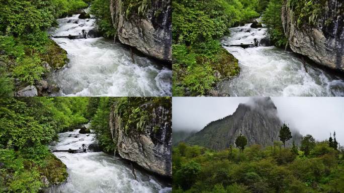 高山流水原始森林溪流河水原生态风景素材