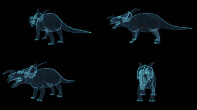 恐龙 Einiosaurus 野牛龙水牛